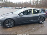 2021 Tesla Model 3 Standard Range Plus Rear-wheel Drive Gray vin: 5YJ3E1EAXMF976705