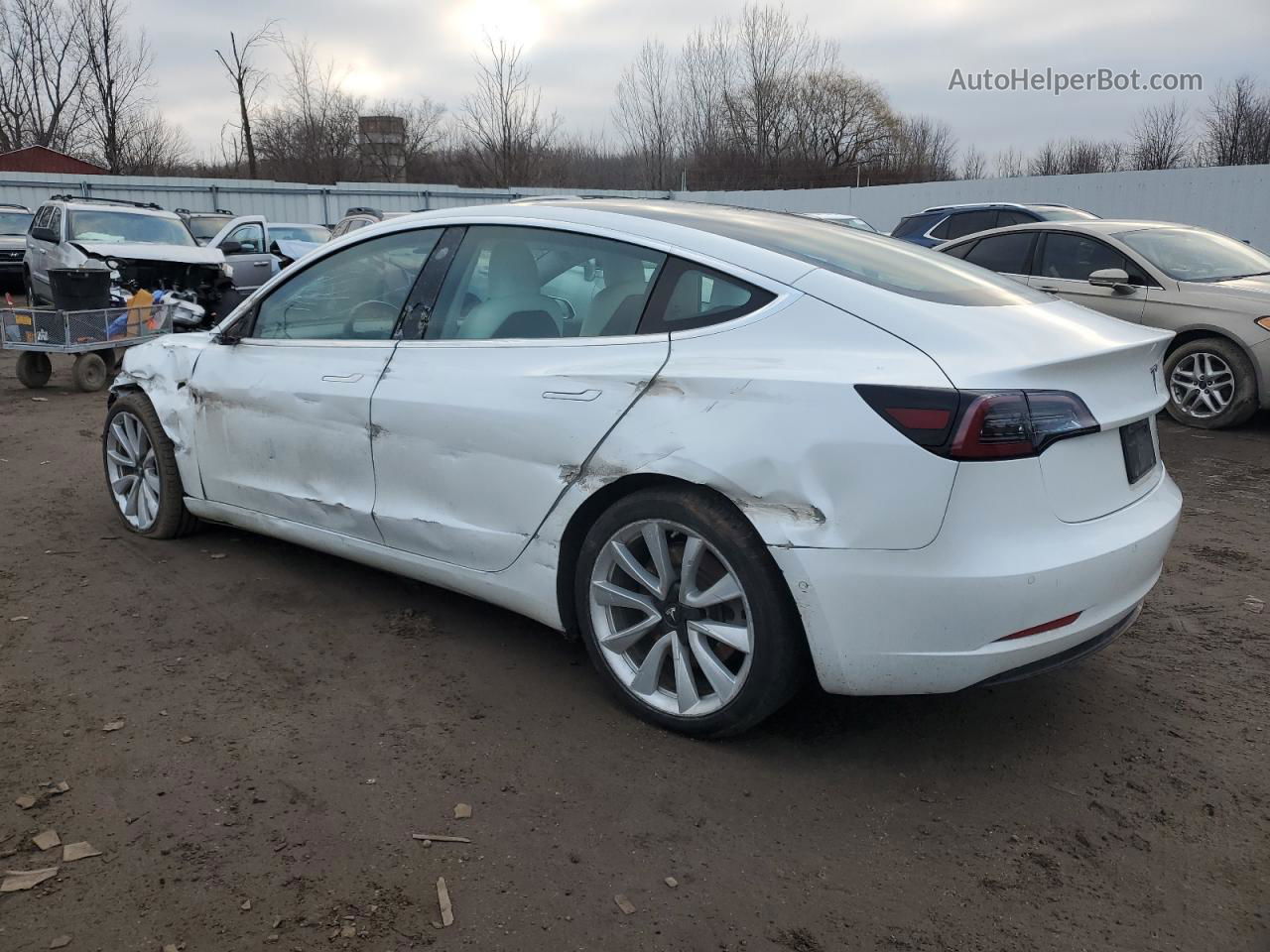 2019 Tesla Model 3  White vin: 5YJ3E1EB0KF195567