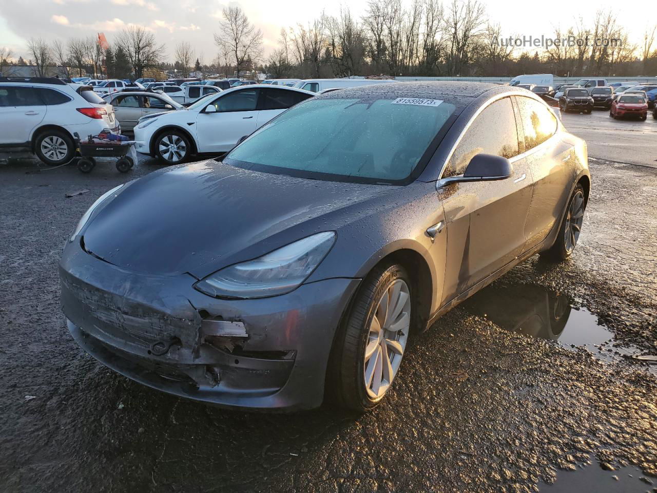 2019 Tesla Model 3  Gray vin: 5YJ3E1EB0KF391685