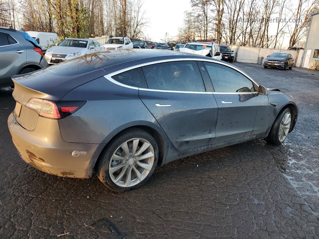 2019 Tesla Model 3  Серый vin: 5YJ3E1EB0KF391685