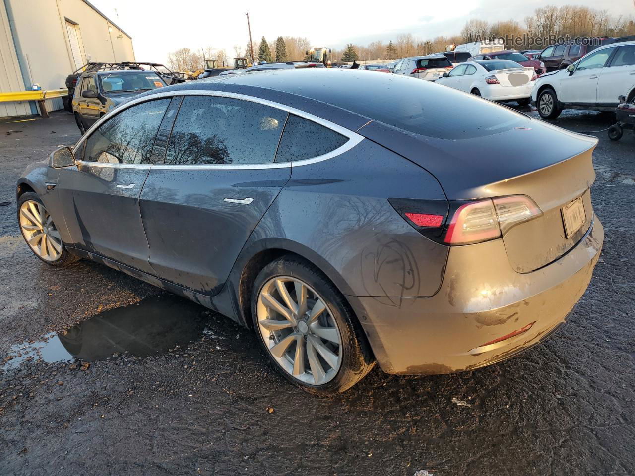 2019 Tesla Model 3  Серый vin: 5YJ3E1EB0KF391685