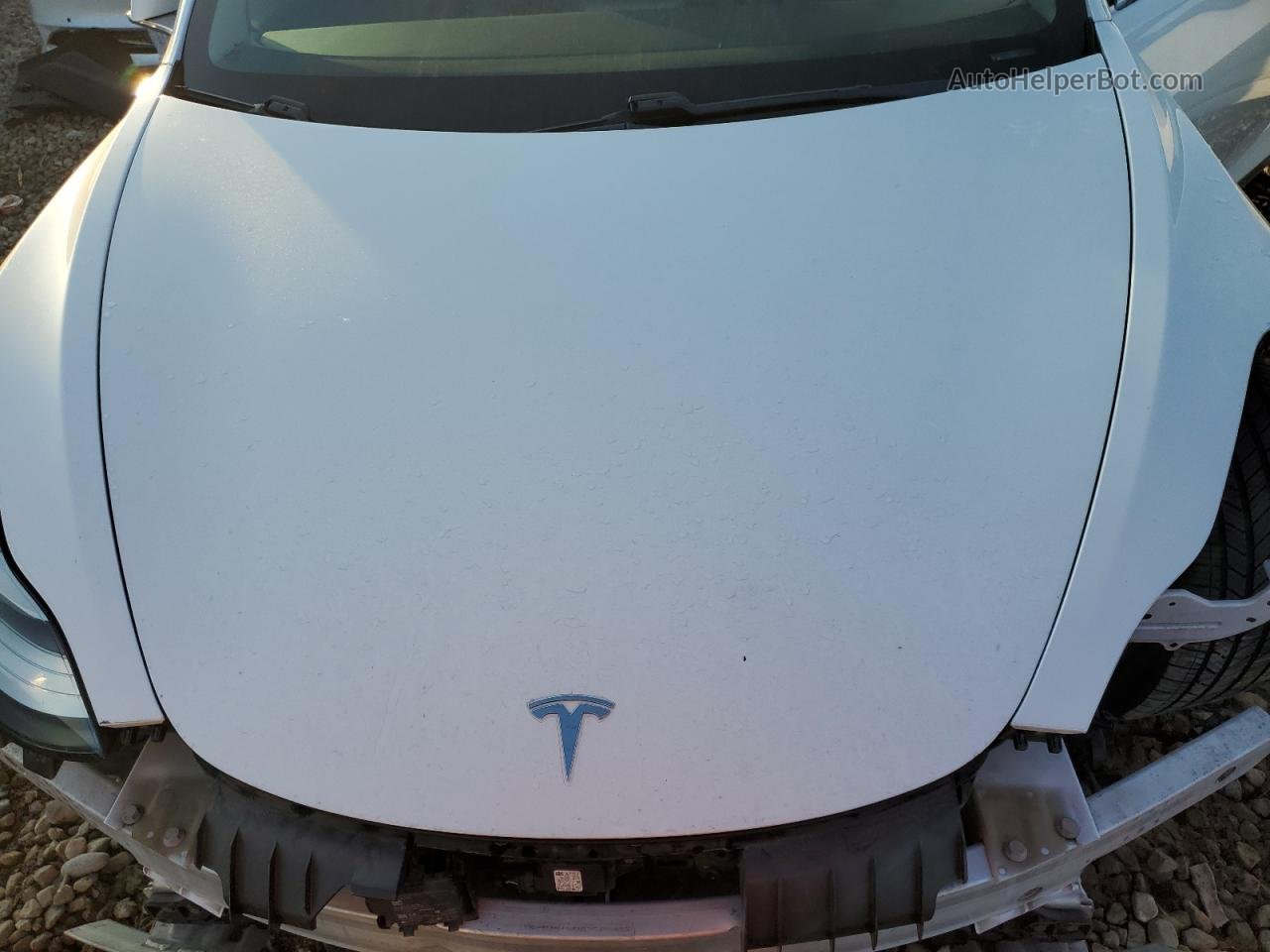 2019 Tesla Model 3  White vin: 5YJ3E1EB0KF418660