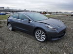 2019 Tesla Model 3  Серый vin: 5YJ3E1EB0KF534554