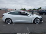 2020 Tesla Model 3 Long Range Dual Motor Белый vin: 5YJ3E1EB0LF621534