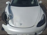 2021 Tesla Model 3 Long Range White vin: 5YJ3E1EB0MF975300