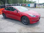 2019 Tesla Model 3 Long Range/performance Red vin: 5YJ3E1EB1KF387046