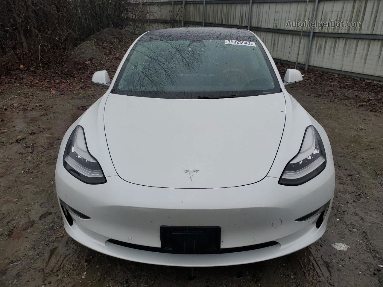 2019 Tesla Model 3  Белый vin: 5YJ3E1EB1KF390271