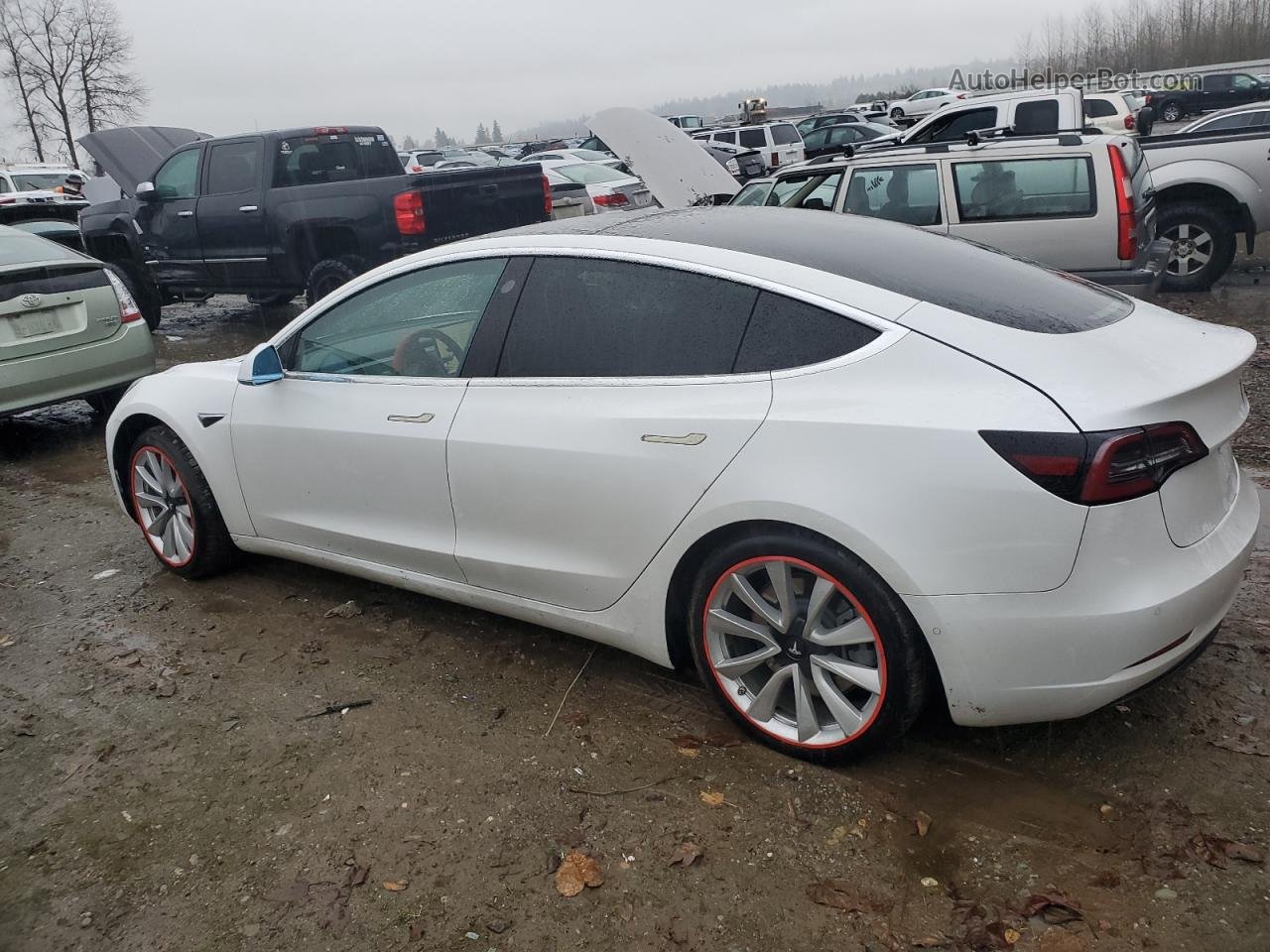 2019 Tesla Model 3  Белый vin: 5YJ3E1EB1KF390271