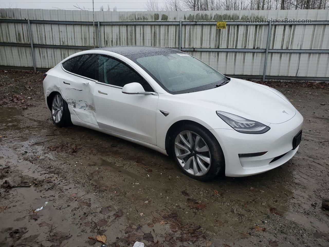 2019 Tesla Model 3  Белый vin: 5YJ3E1EB1KF390271