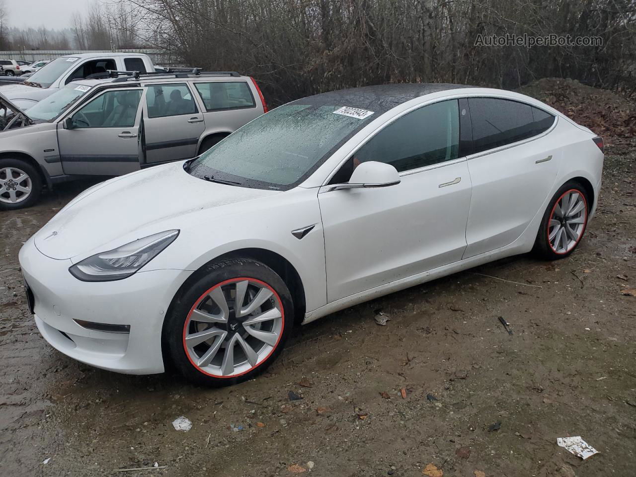 2019 Tesla Model 3  White vin: 5YJ3E1EB1KF390271