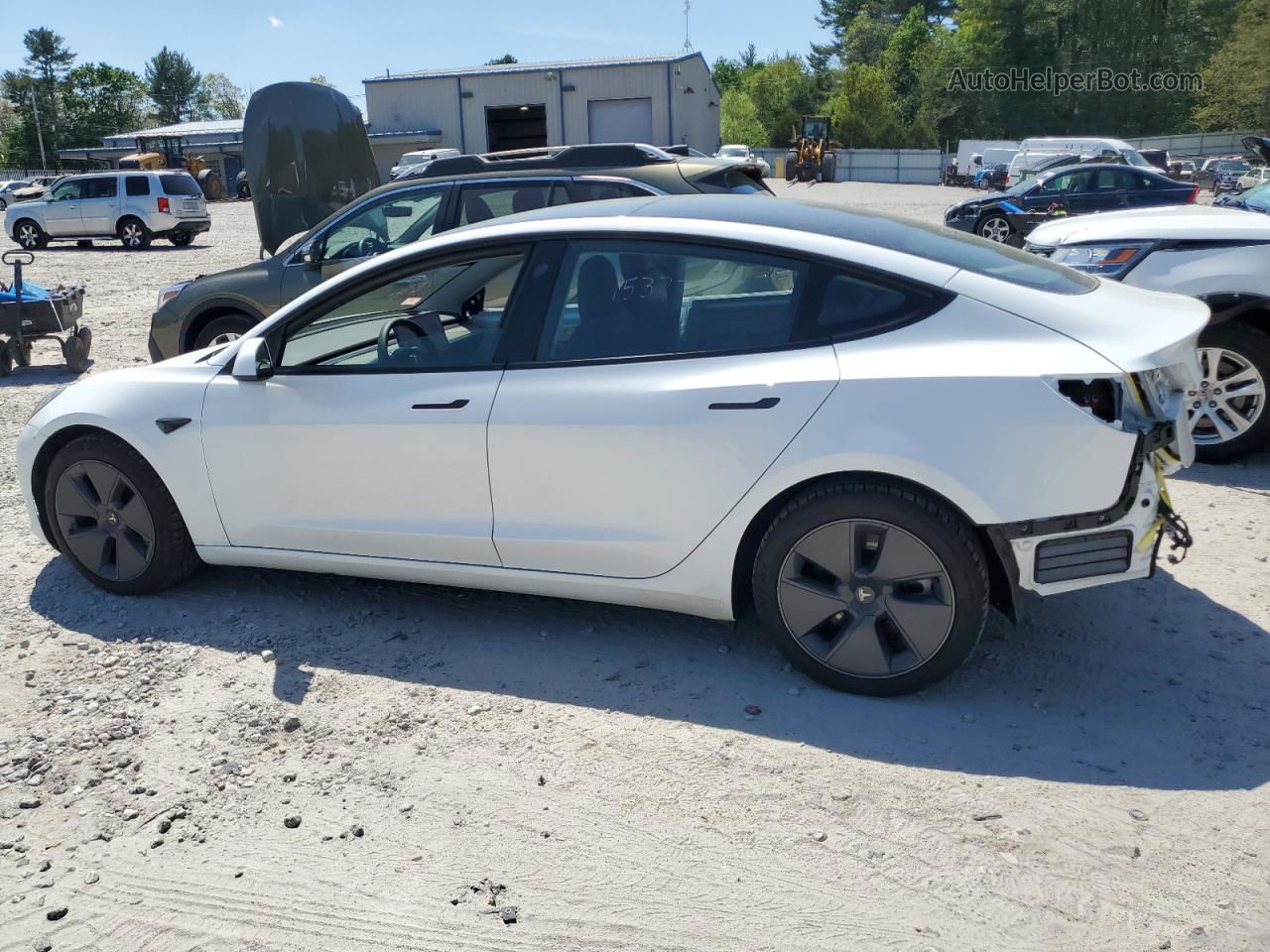 2021 Tesla Model 3  White vin: 5YJ3E1EB1MF014995