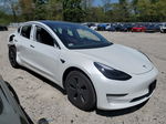 2021 Tesla Model 3  White vin: 5YJ3E1EB1MF014995