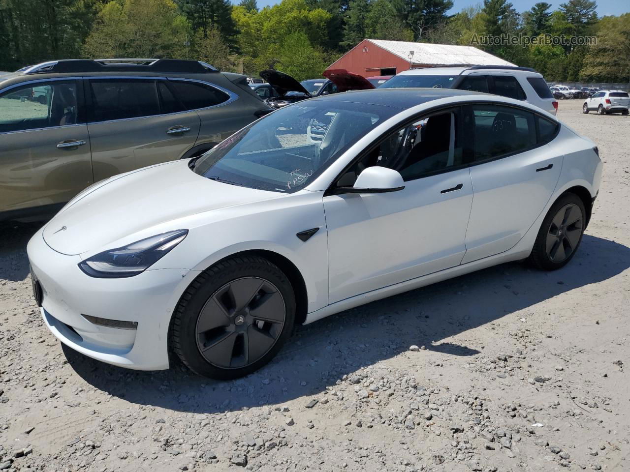 2021 Tesla Model 3  White vin: 5YJ3E1EB1MF014995