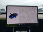 2019 Tesla Model 3 Performance/long Range Blue vin: 5YJ3E1EB2KF497474