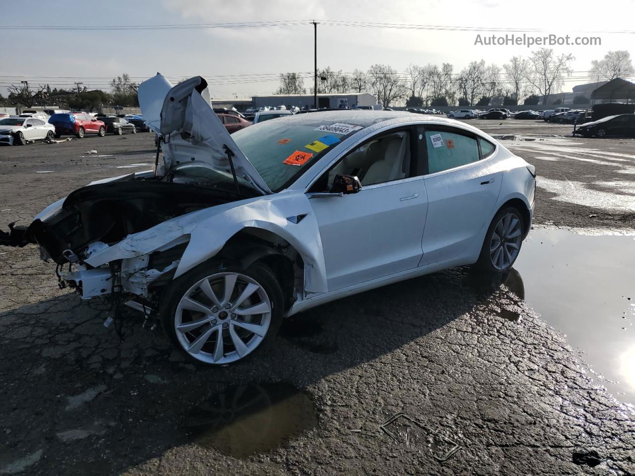 2020 Tesla Model 3  Белый vin: 5YJ3E1EB2LF622958