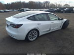 2021 Tesla Model 3 Long Range Dual Motor All-wheel Drive White vin: 5YJ3E1EB2MF049044