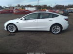 2021 Tesla Model 3 Long Range Dual Motor All-wheel Drive White vin: 5YJ3E1EB2MF049044