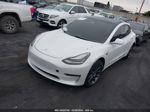 2019 Tesla Model 3 Long Range/performance White vin: 5YJ3E1EB3KF406809