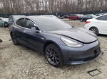 2019 Tesla Model 3  Gray vin: 5YJ3E1EB3KF442001