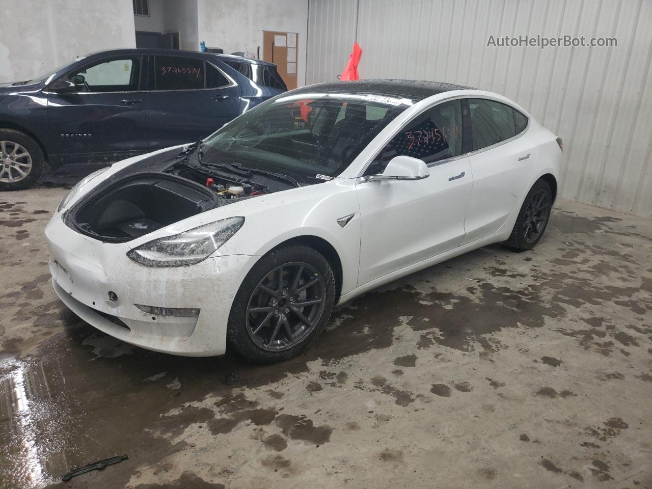 2019 Tesla Model 3  White vin: 5YJ3E1EB4KF433436