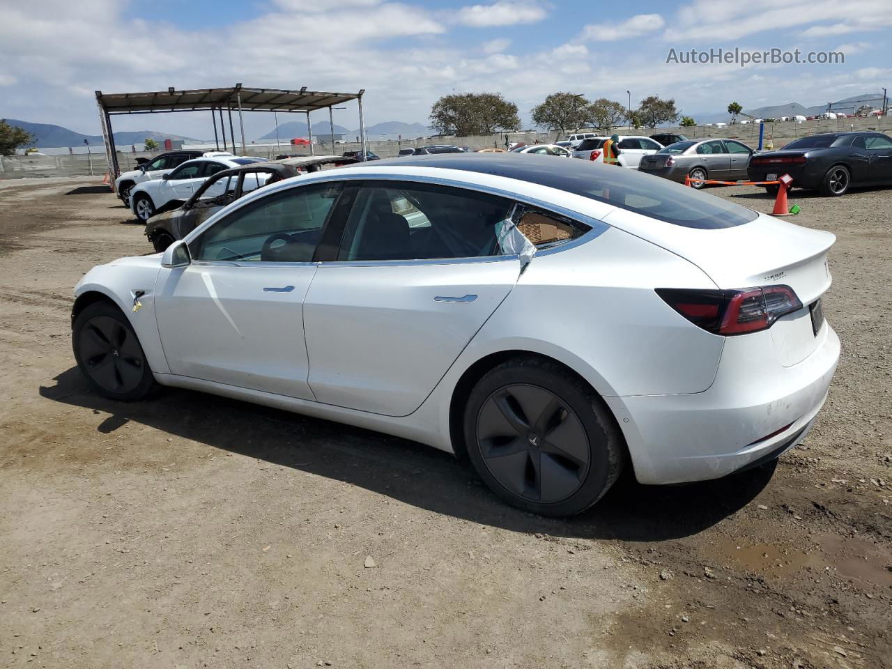 2019 Tesla Model 3  White vin: 5YJ3E1EB4KF451841