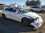 2019 Tesla Model 3  White vin: 5YJ3E1EB4KF510726