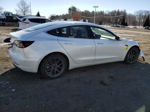 2019 Tesla Model 3  White vin: 5YJ3E1EB4KF510726