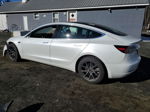 2019 Tesla Model 3  White vin: 5YJ3E1EB4KF510726