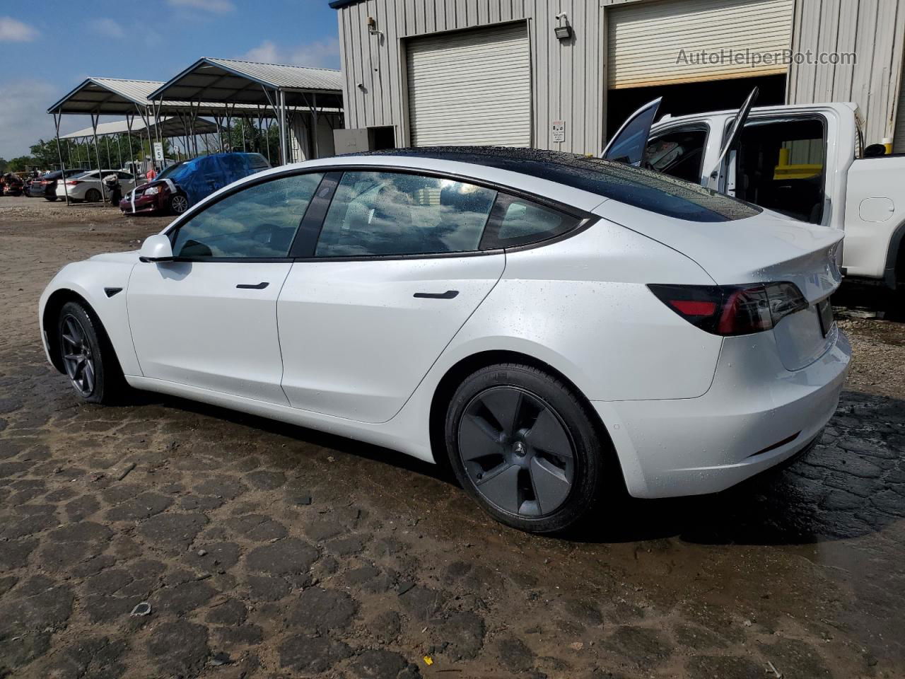 2021 Tesla Model 3  White vin: 5YJ3E1EB4MF859050