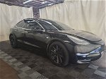 2019 Tesla Model 3   White vin: 5YJ3E1EB5KF197041