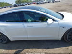 2019 Tesla Model 3 Long Range/performance Белый vin: 5YJ3E1EB5KF213903