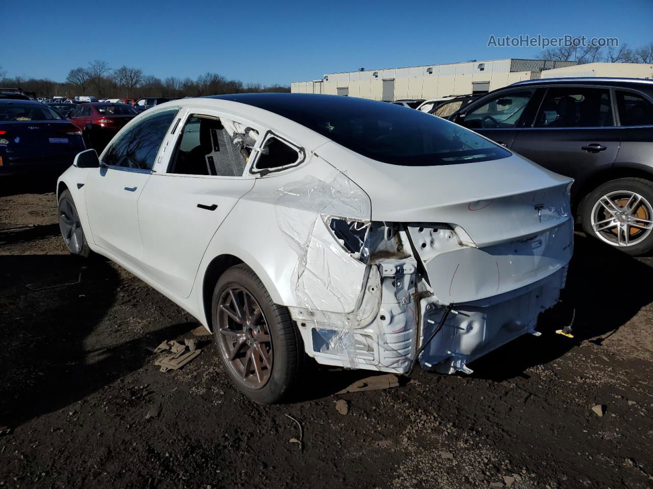 2019 Tesla Model 3  White vin: 5YJ3E1EB5KF365700