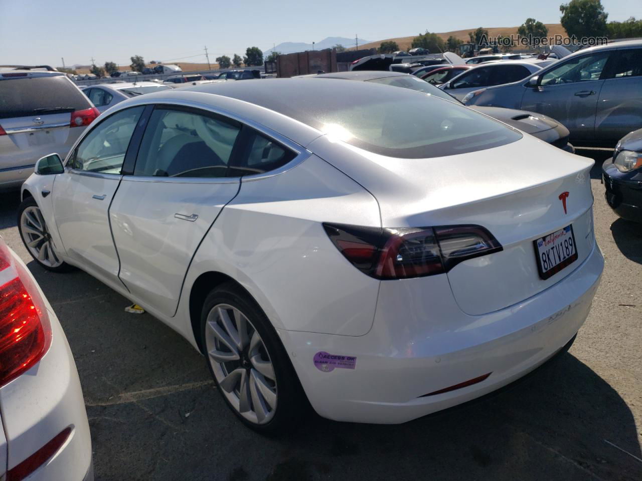 2019 Tesla Model 3  White vin: 5YJ3E1EB5KF365986