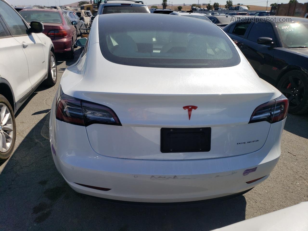 2019 Tesla Model 3  White vin: 5YJ3E1EB5KF365986