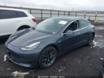 2019 Tesla Model 3 Performance/long Range Серый vin: 5YJ3E1EB5KF432666