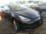 2019 Tesla Model 3 Performance/long Range Black vin: 5YJ3E1EB5KF433543