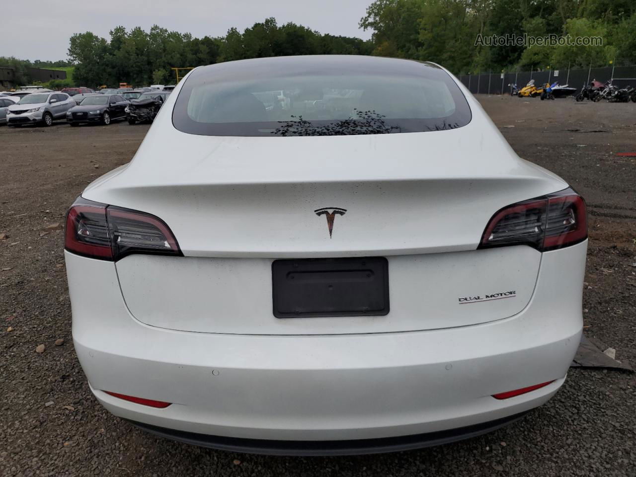 2019 Tesla Model 3  White vin: 5YJ3E1EB5KF437396