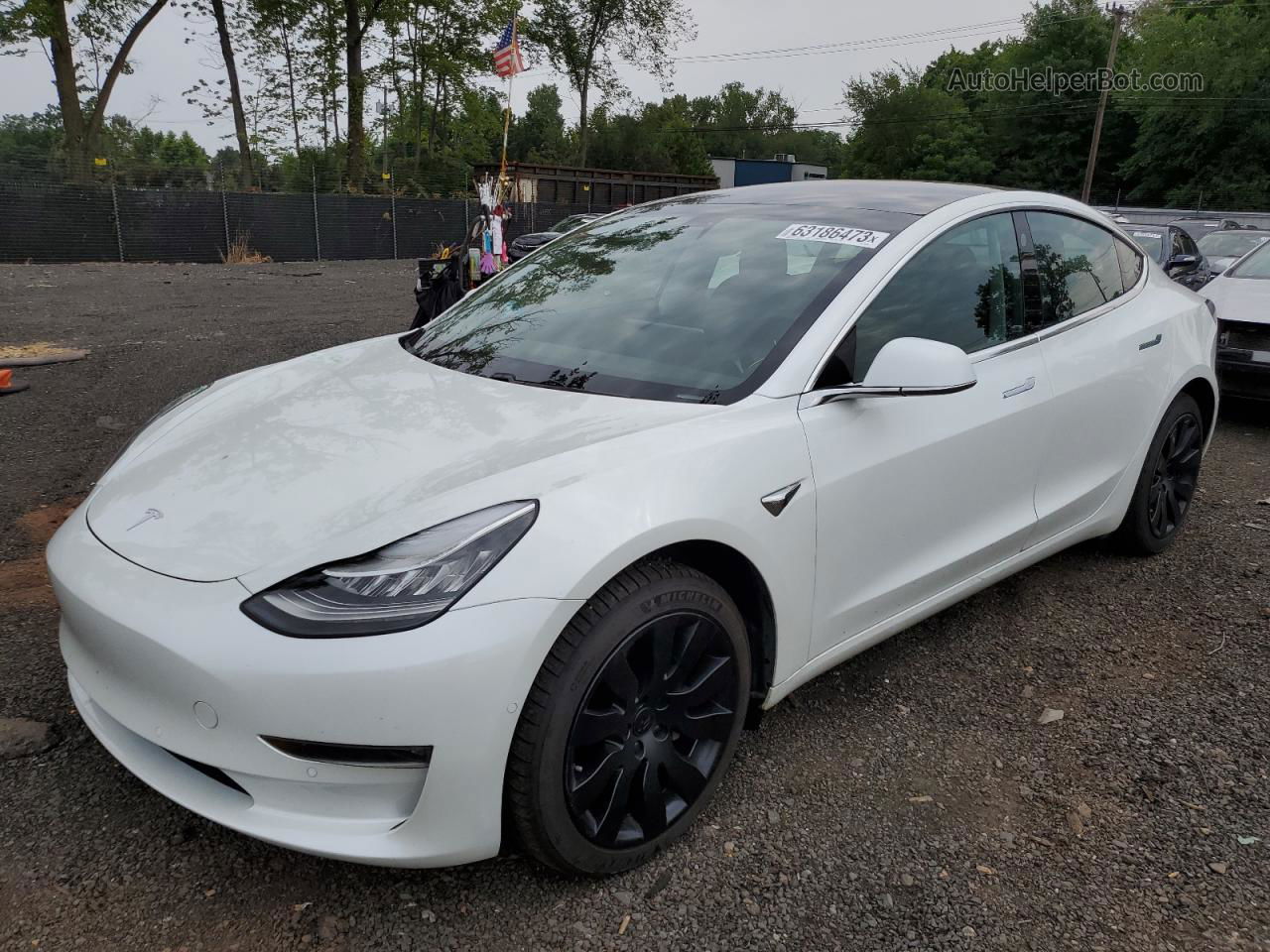 2019 Tesla Model 3  Белый vin: 5YJ3E1EB5KF437396