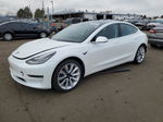 2020 Tesla Model 3  White vin: 5YJ3E1EB5LF621237