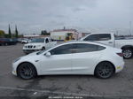 2020 Tesla Model 3 Long Range Dual Motor All-wheel Drive Белый vin: 5YJ3E1EB5LF628639