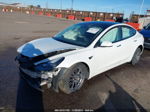 2021 Tesla Model 3 Long Range Dual Motor All-wheel Drive Белый vin: 5YJ3E1EB5MF019780