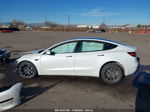 2021 Tesla Model 3 Long Range Dual Motor All-wheel Drive Белый vin: 5YJ3E1EB5MF019780