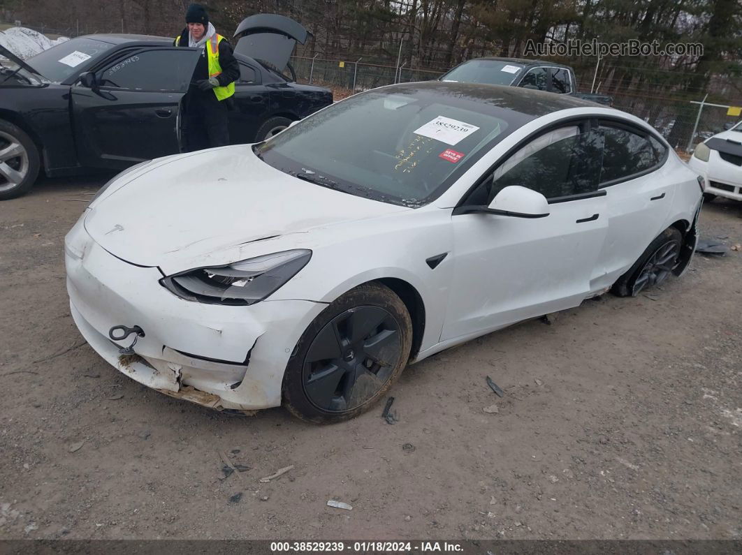 2021 Tesla Model 3 Long Range Dual Motor All-wheel Drive Белый vin: 5YJ3E1EB5MF098528