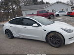 2021 Tesla Model 3 Long Range Dual Motor All-wheel Drive White vin: 5YJ3E1EB5MF098528