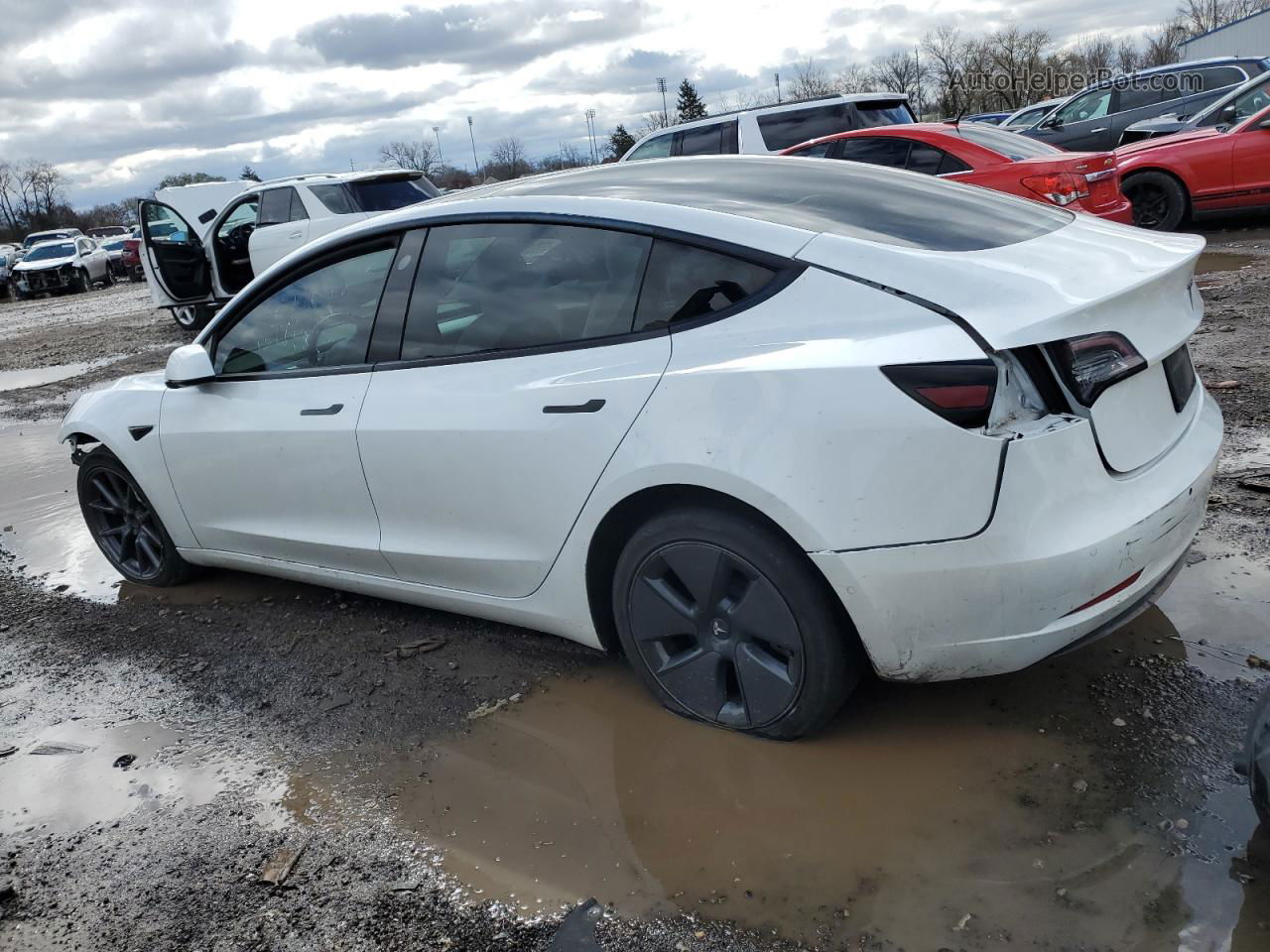 2021 Tesla Model 3  White vin: 5YJ3E1EB5MF960551