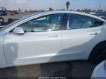 2018 Tesla Model 3 Long Range/performance White vin: 5YJ3E1EB6JF112920