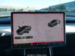 2018 Tesla Model 3 Performance/long Range Gray vin: 5YJ3E1EB6JF147277