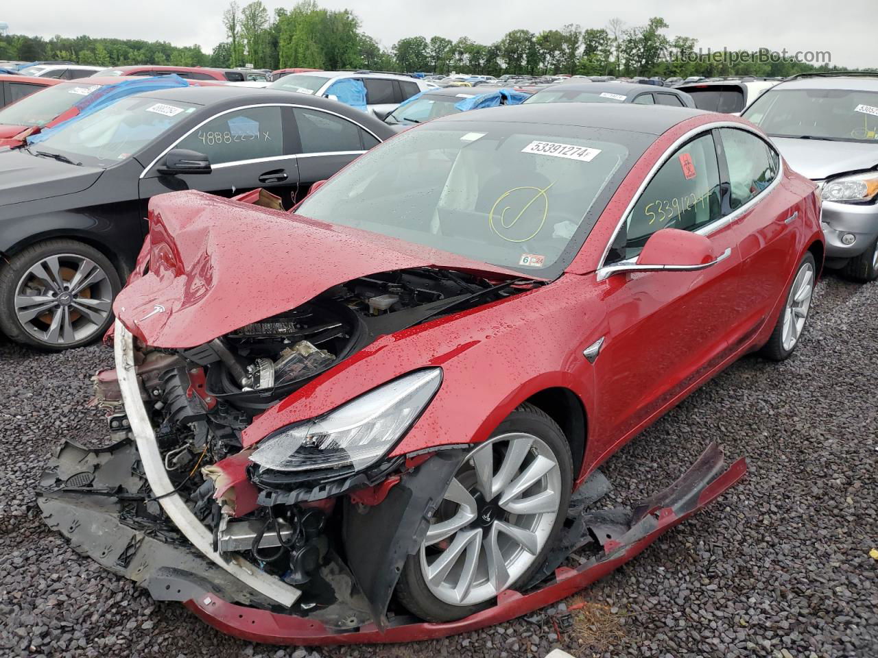 2019 Tesla Model 3  Red vin: 5YJ3E1EB6KF389598
