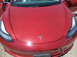 2020 Tesla Model 3  Red vin: 5YJ3E1EB6LF537542