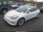 2020 Tesla Model 3 Long Range Dual Motor All-wheel Drive White vin: 5YJ3E1EB6LF712291